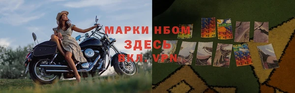 apvp Осташков