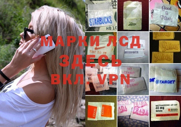 apvp Осташков