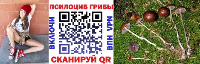 Псилоцибиновые грибы прущие грибы  Купить закладки  Суоярви 